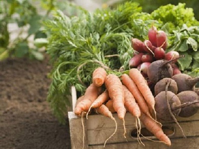 野菜の選び方