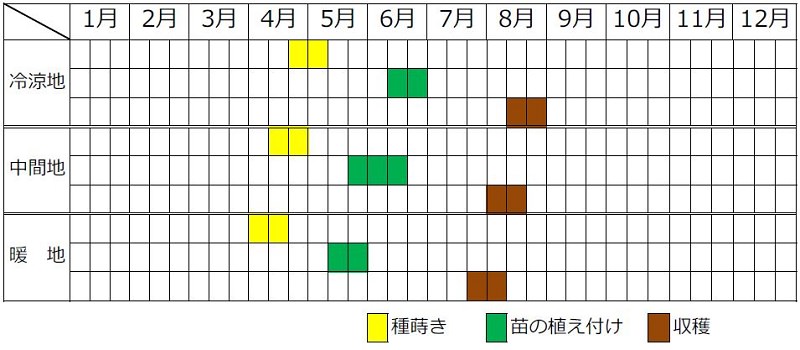 マクワウリ植え付け収穫カレンダー