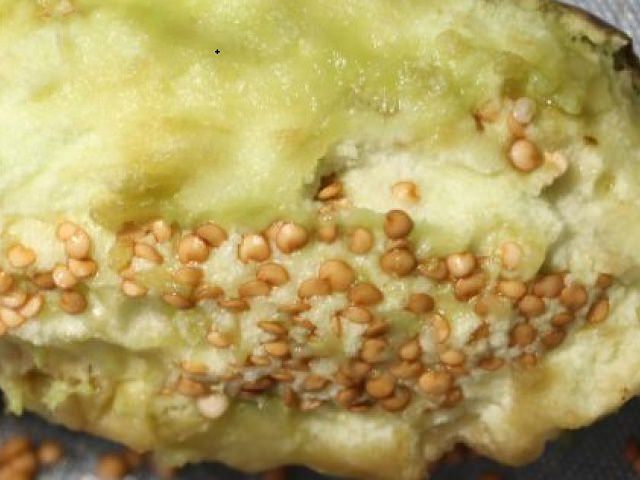 ナスの自家採種やり方は？