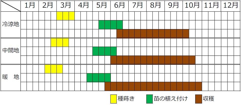ピーマンの植え付け収穫カレンダー