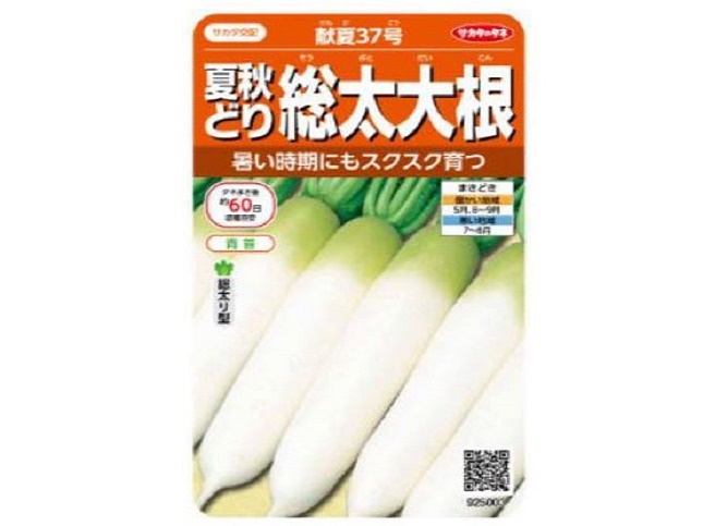 ダイコンの育てやすい品種