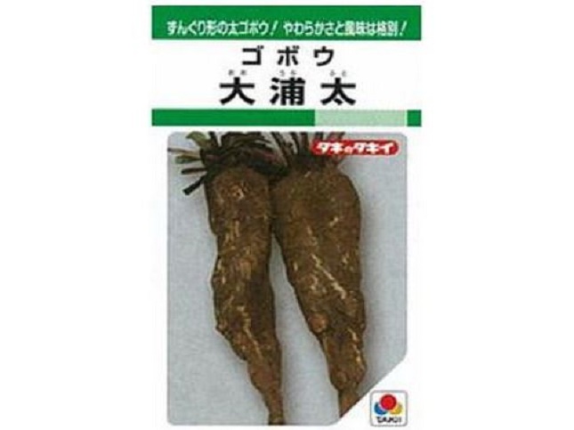 ゴボウおすすめの品種