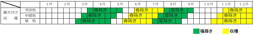 ニンジンの栽培カレンダー（種まき時期・植え付け時期・収穫時期）