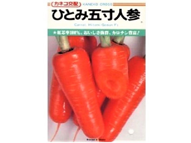 ニンジン育てやすいおすすめの品種