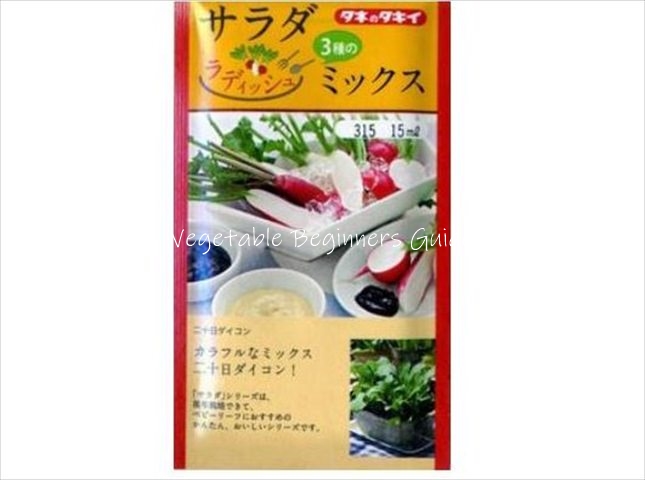 ラディッシュの育てやすい品種