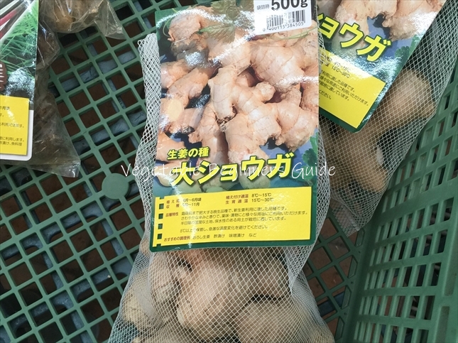 種ショウガの選び方