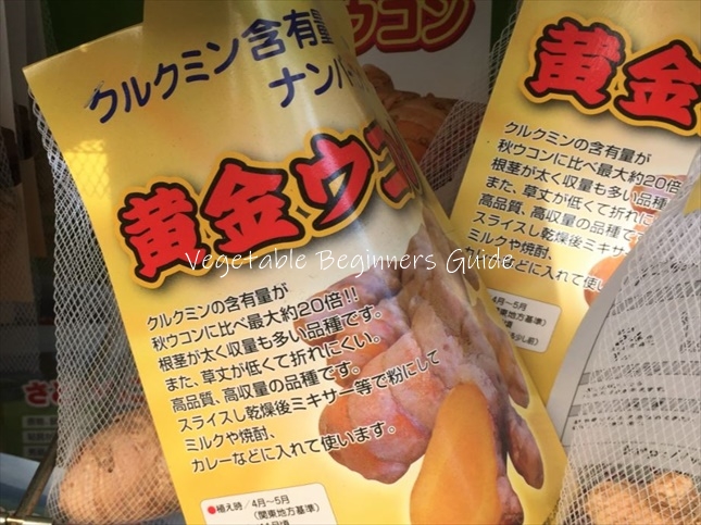 ウコンの育てやすい品種