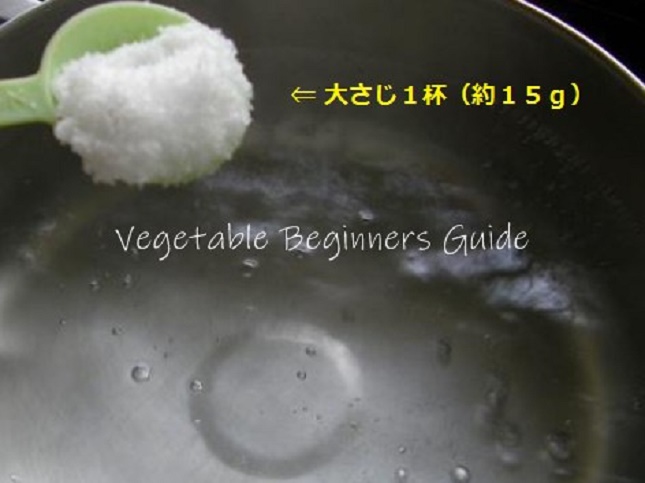 アイスプランツの水やり頻度