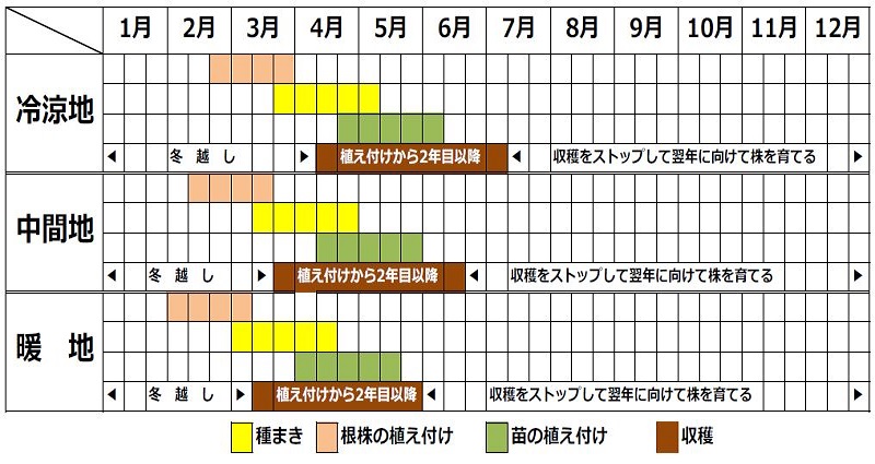 アスパラガスの栽培カレンダー