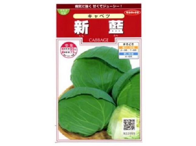 キャベツの種・品種の選び方