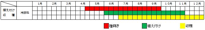 葉ネギ栽培カレンダー