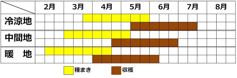 ほうれん草の栽培カレンダー（春まき）