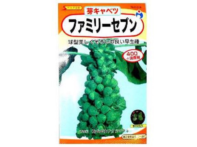 メキャベツの育てやすい品種