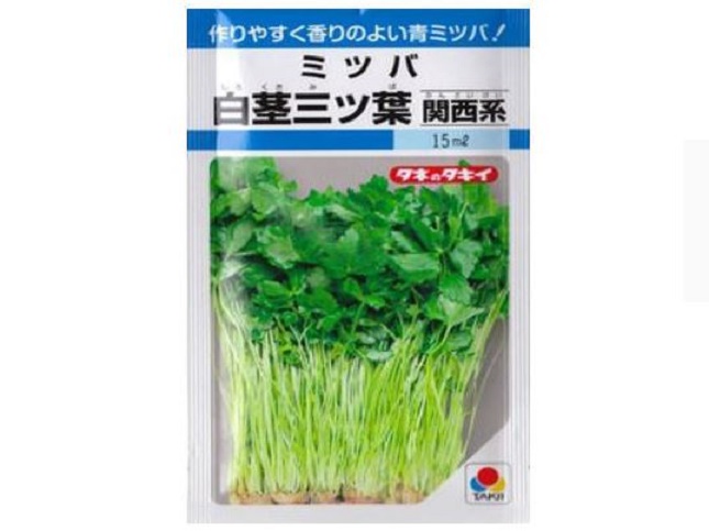 育てやすいミツバの種の種類