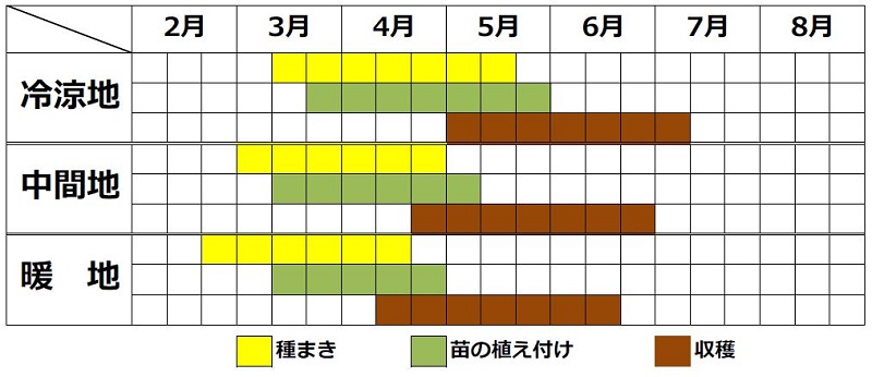 ミズナ栽培カレンダー（春まき）