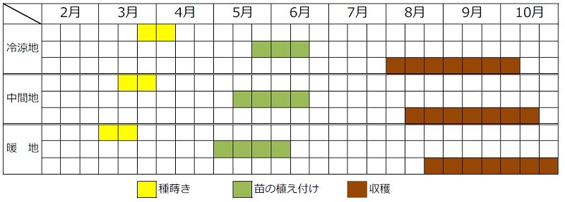 ニラの春まきカレンダー