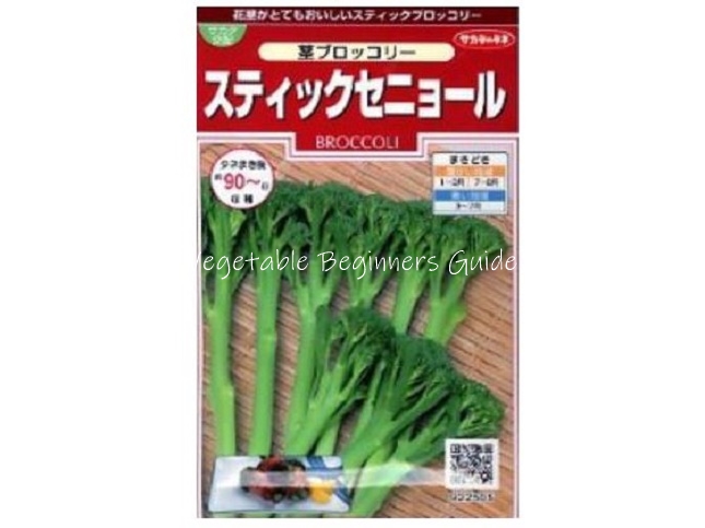 スティックセニョールの育てやすい品種