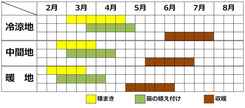 栽培カレンダー（春まき）