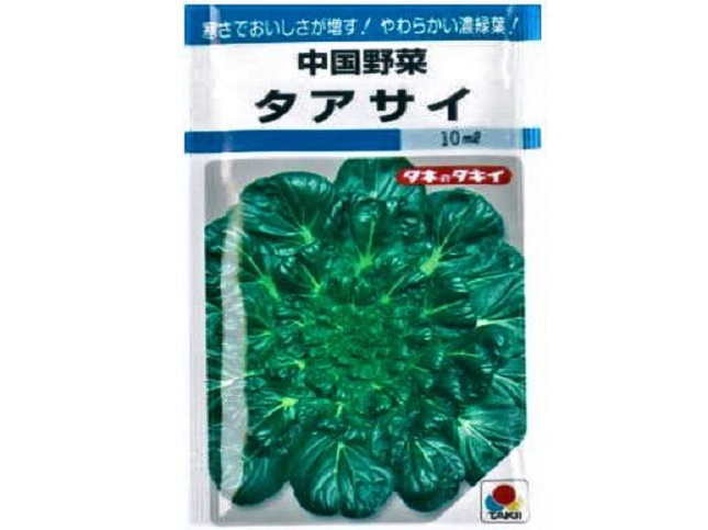 タアサイの育てやすい品種