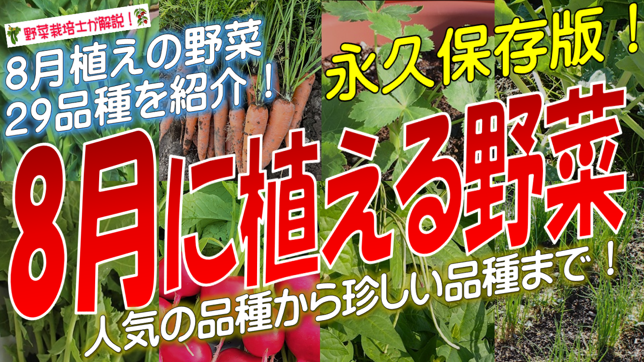 8月に植える野菜