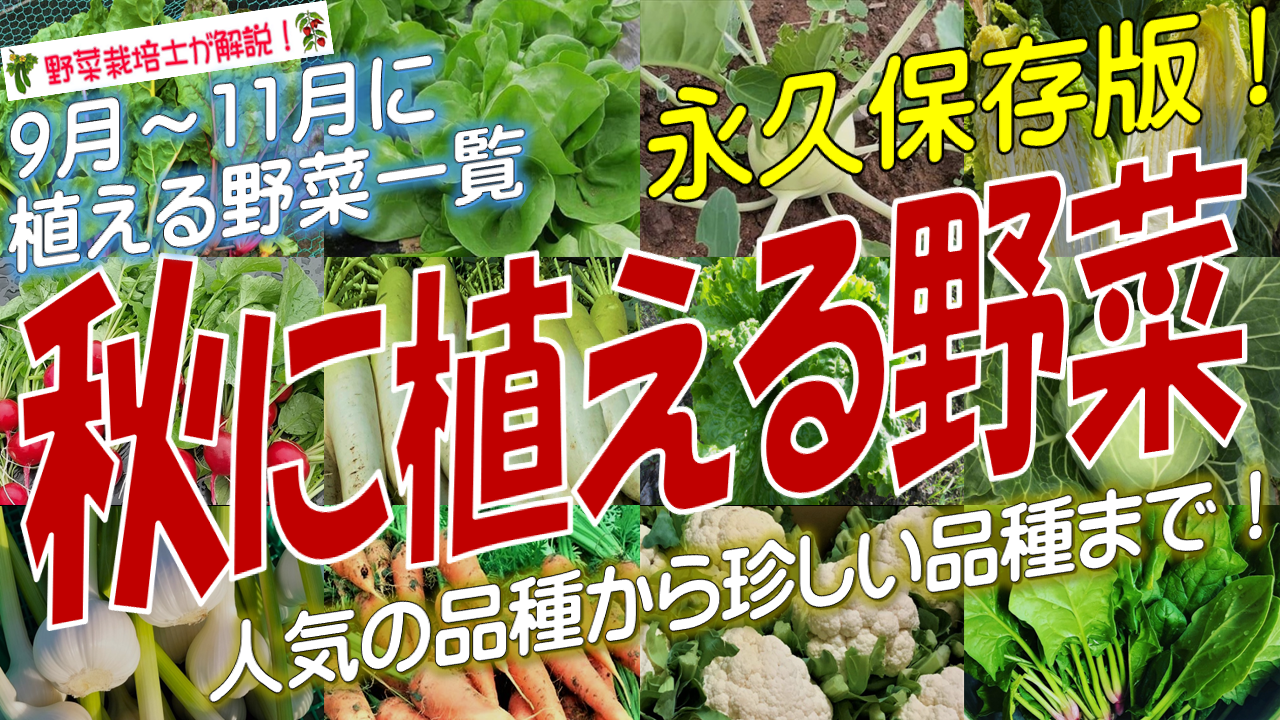 秋に植える野菜