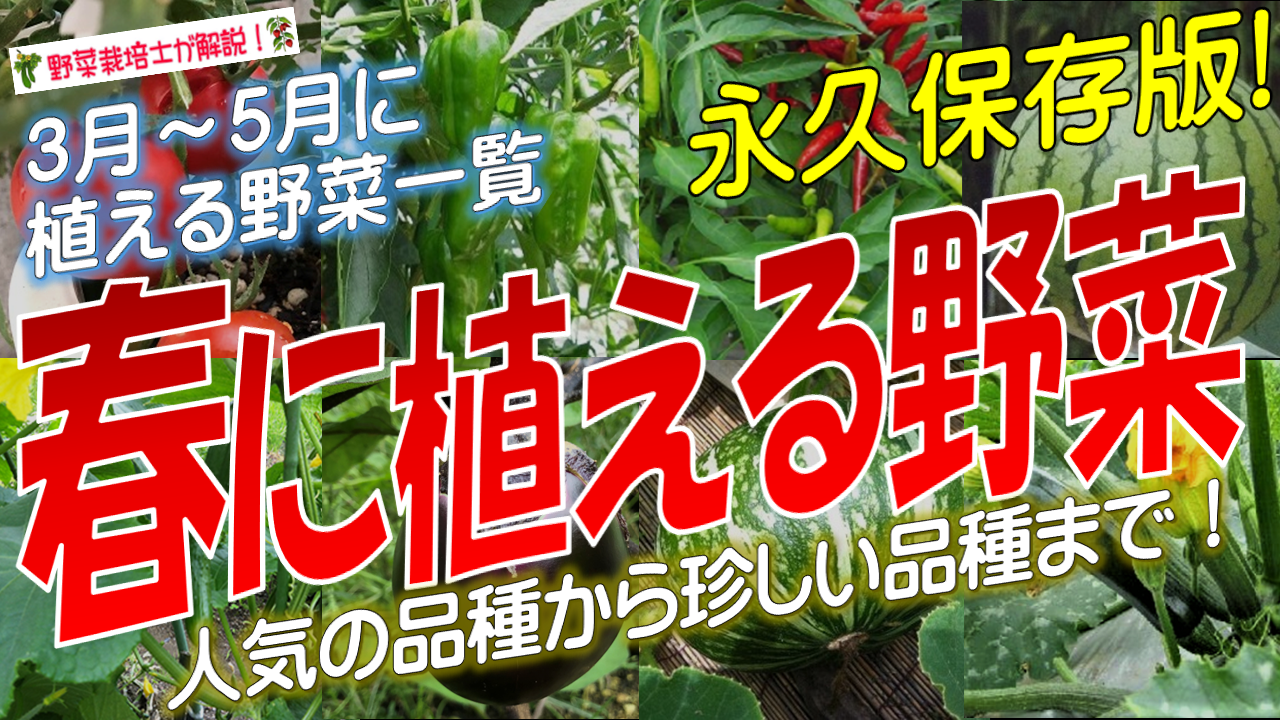 春に植える野菜一覧